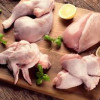 Thịt Gà Tươi 