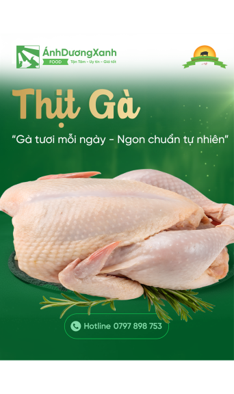 Thịt Gà