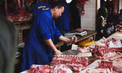 Thịt heo sỉ giá tốt