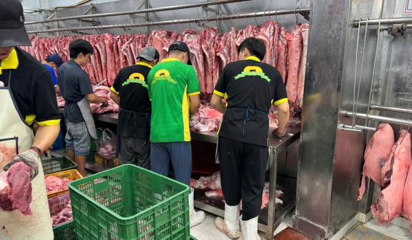 Xây dựng nền tảng vững chắc