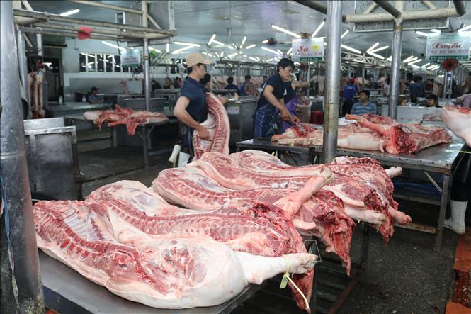 Thịt Heo Giá Sỉ Số Lượng Lớn – Hợp Tác Lâu Dài